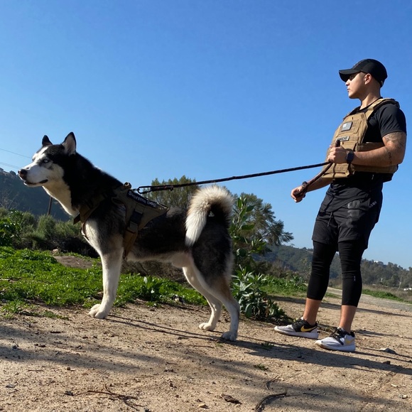 Meet your Posher, Joseph - Picture 4 of 7